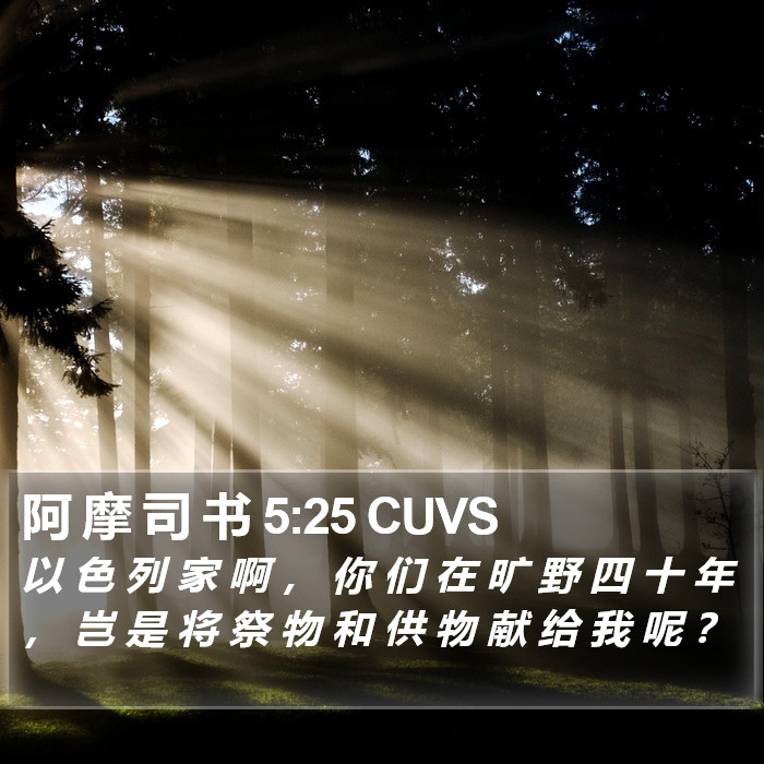 阿 摩 司 书 5:25 CUVS Bible Study
