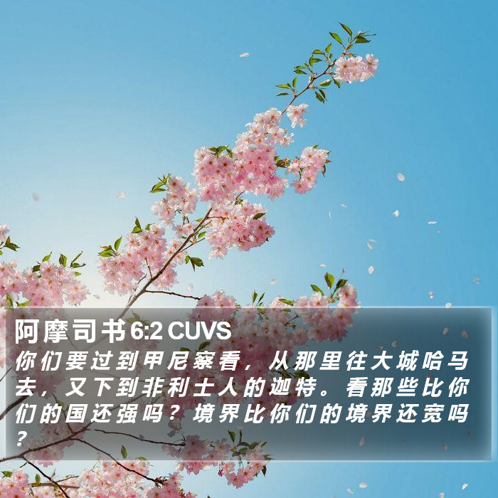 阿 摩 司 书 6:2 CUVS Bible Study