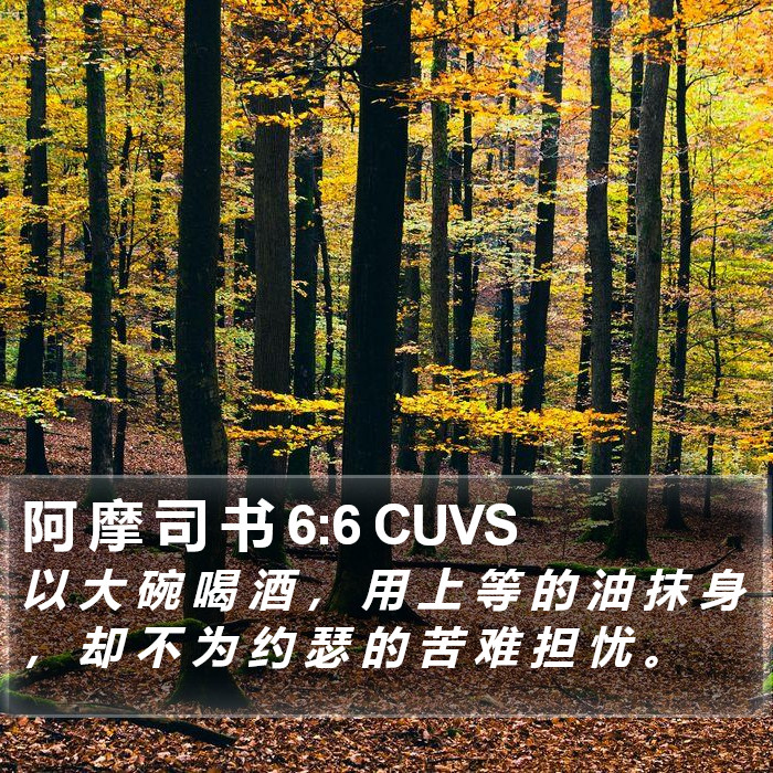 阿 摩 司 书 6:6 CUVS Bible Study