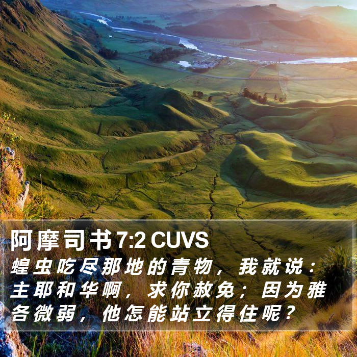 阿 摩 司 书 7:2 CUVS Bible Study