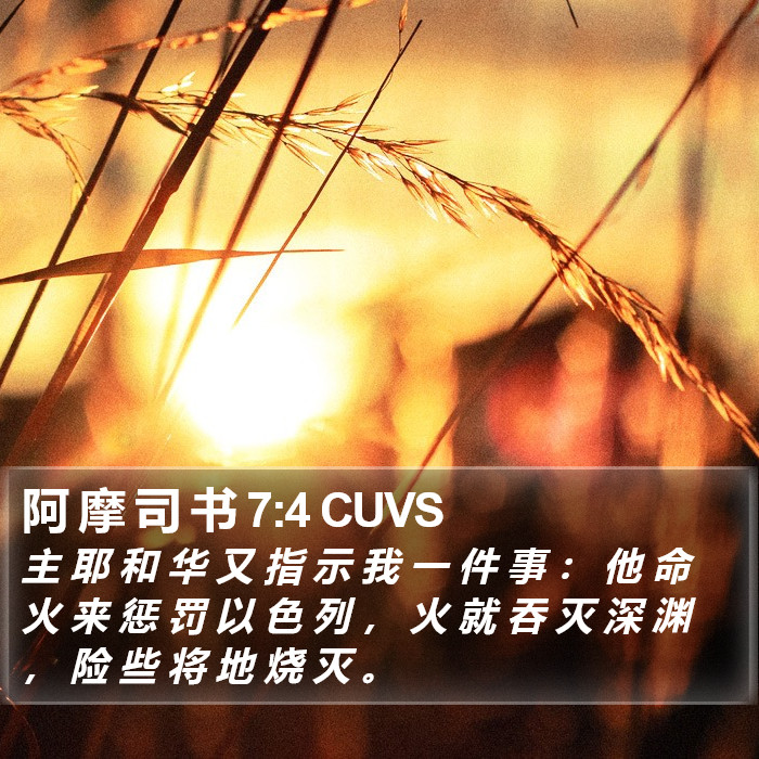 阿 摩 司 书 7:4 CUVS Bible Study