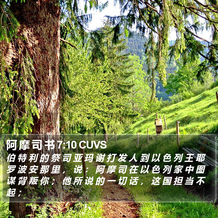 阿 摩 司 书 7:10 CUVS Bible Study