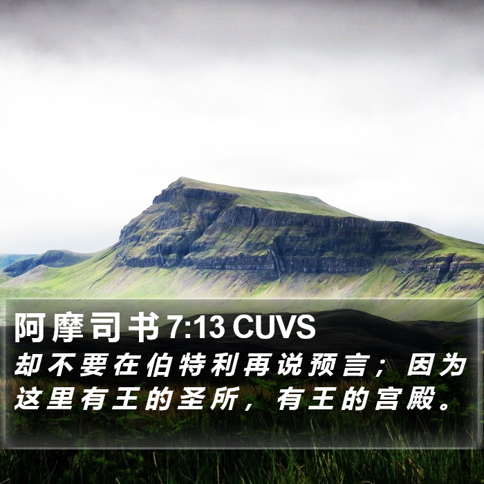 阿 摩 司 书 7:13 CUVS Bible Study