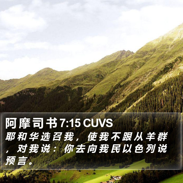 阿 摩 司 书 7:15 CUVS Bible Study