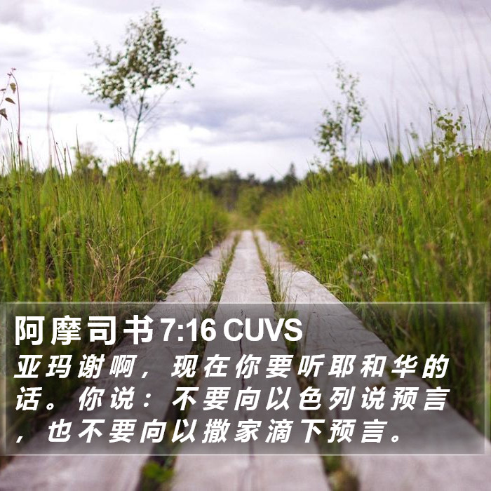 阿 摩 司 书 7:16 CUVS Bible Study