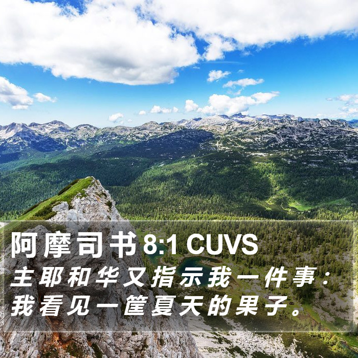 阿 摩 司 书 8:1 CUVS Bible Study