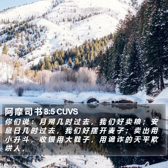 阿 摩 司 书 8:5 CUVS Bible Study