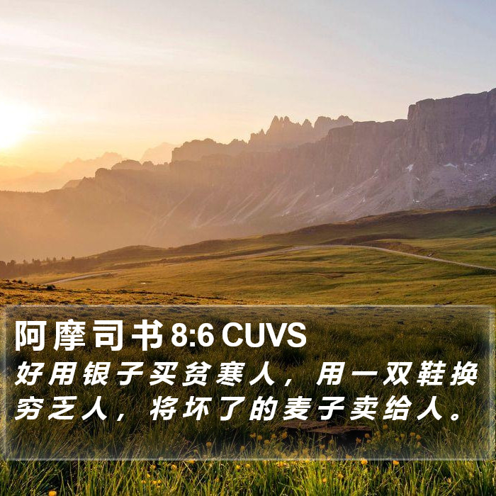 阿 摩 司 书 8:6 CUVS Bible Study