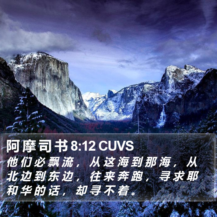 阿 摩 司 书 8:12 CUVS Bible Study