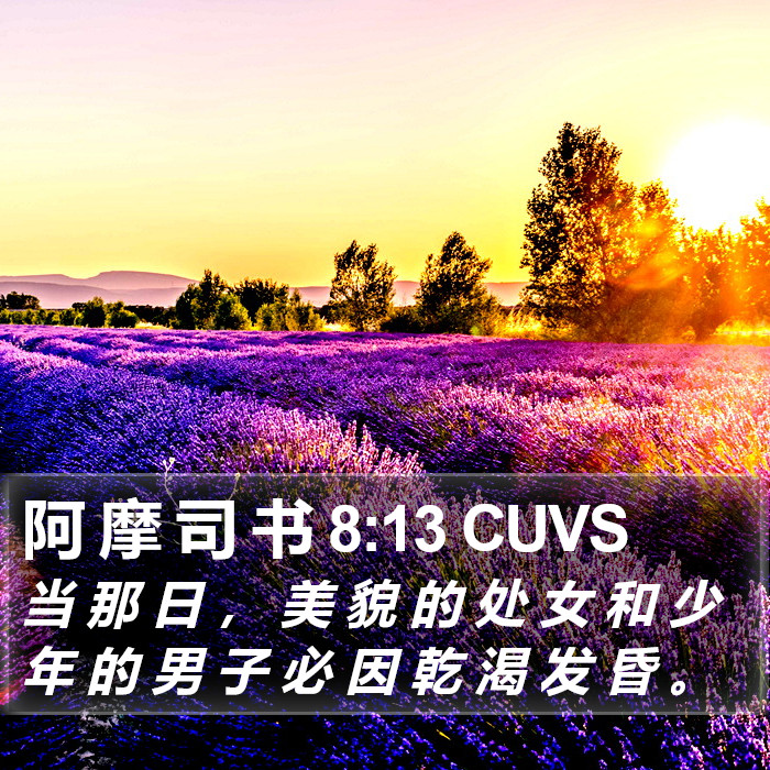 阿 摩 司 书 8:13 CUVS Bible Study