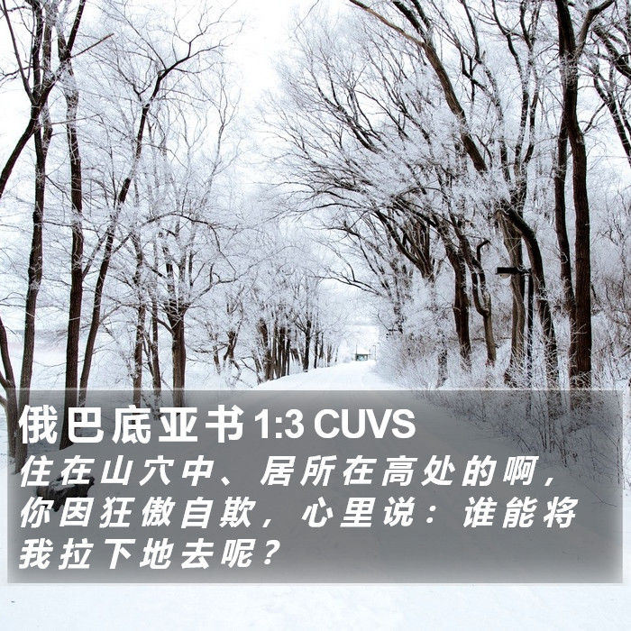 俄 巴 底 亚 书 1:3 CUVS Bible Study