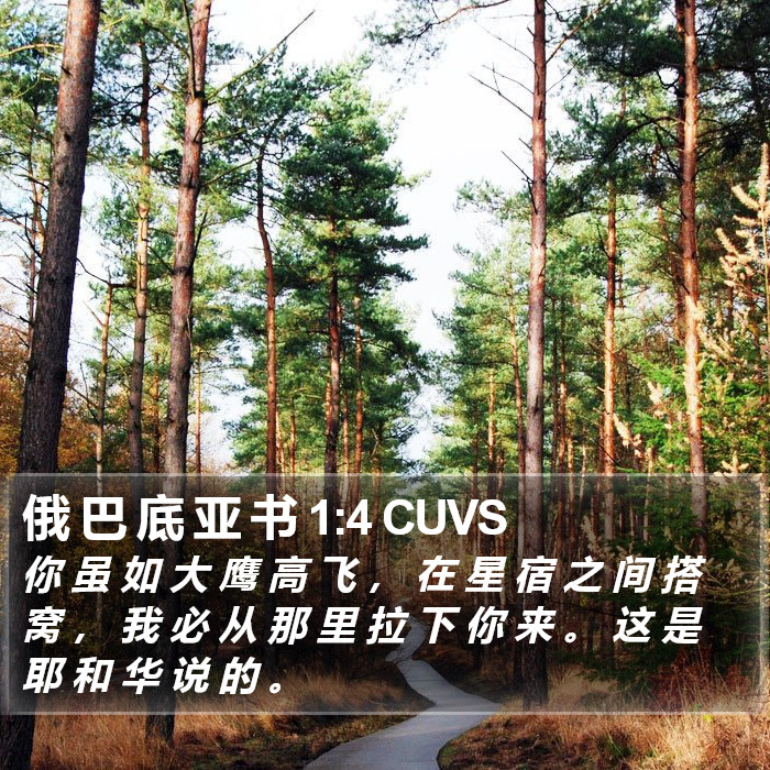 俄 巴 底 亚 书 1:4 CUVS Bible Study