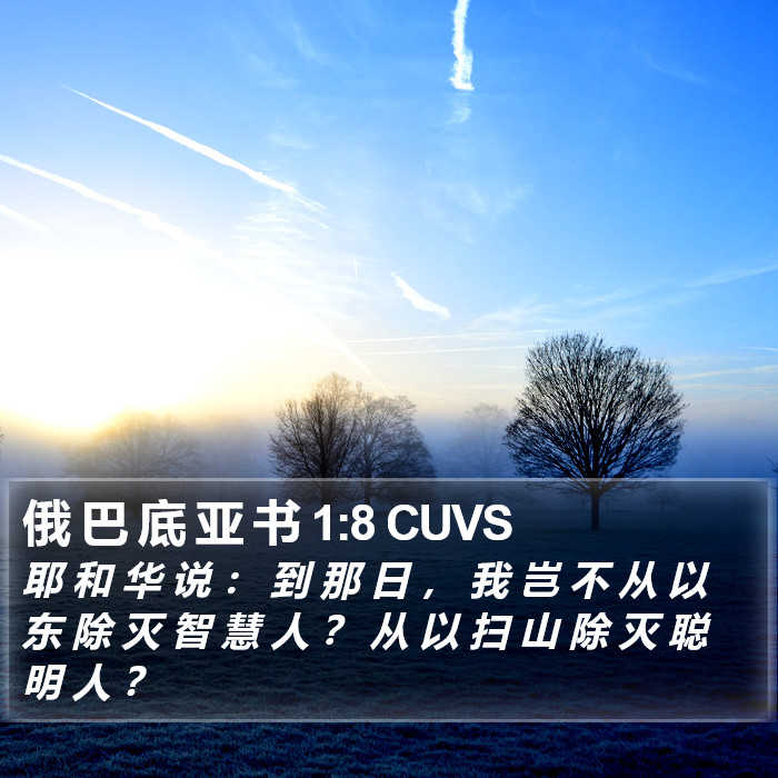 俄 巴 底 亚 书 1:8 CUVS Bible Study