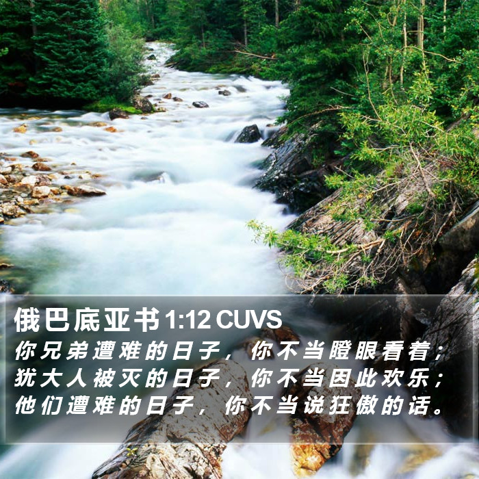 俄 巴 底 亚 书 1:12 CUVS Bible Study