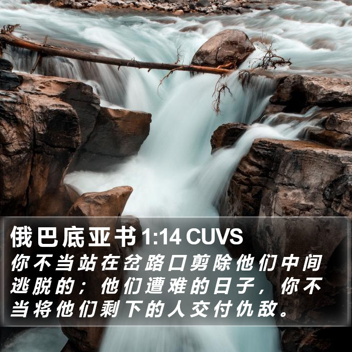 俄 巴 底 亚 书 1:14 CUVS Bible Study