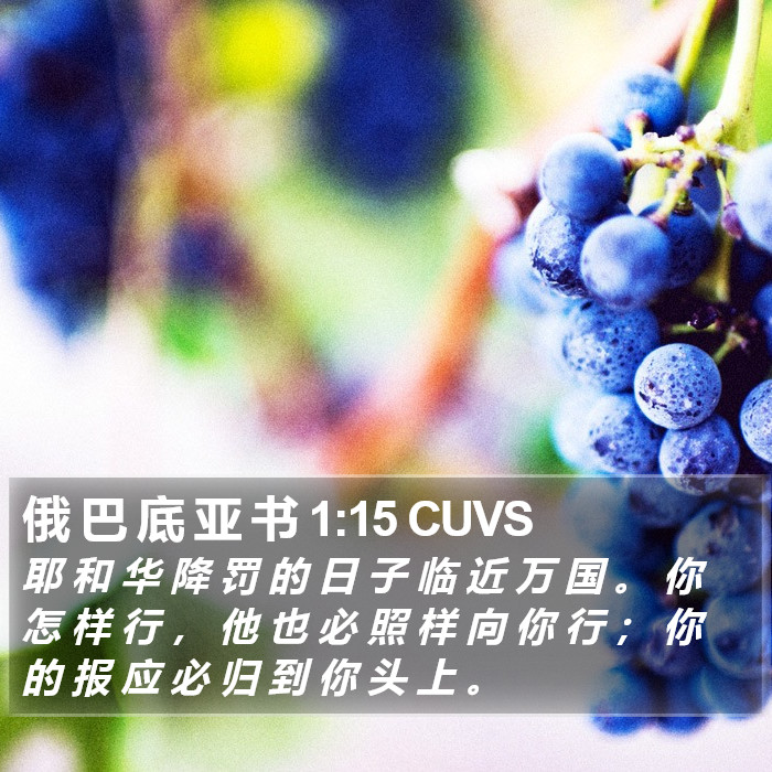 俄 巴 底 亚 书 1:15 CUVS Bible Study