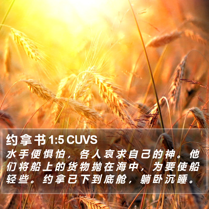 约 拿 书 1:5 CUVS Bible Study