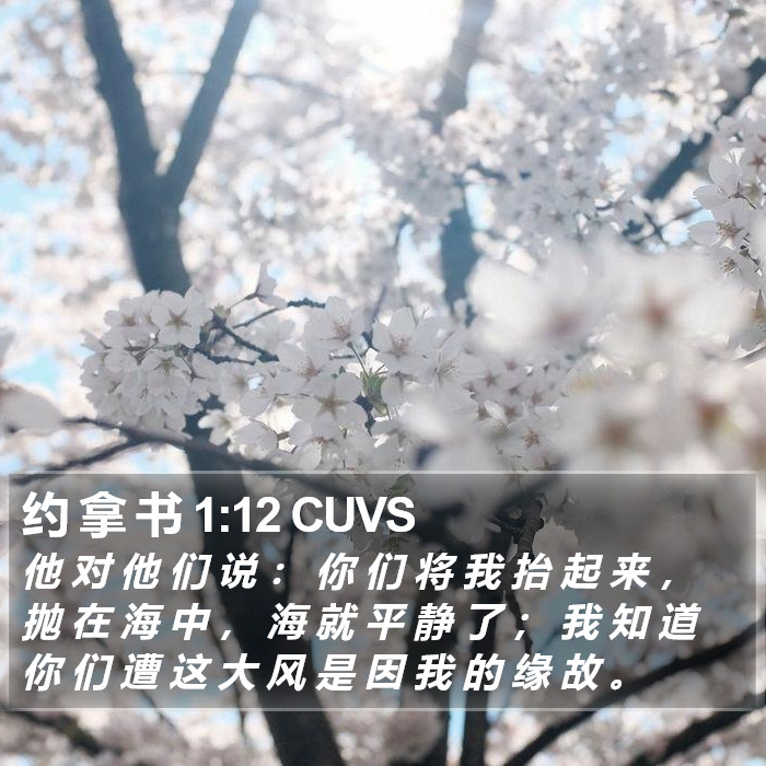 约 拿 书 1:12 CUVS Bible Study