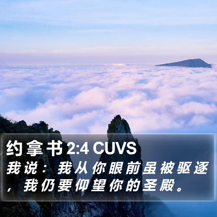 约 拿 书 2:4 CUVS Bible Study