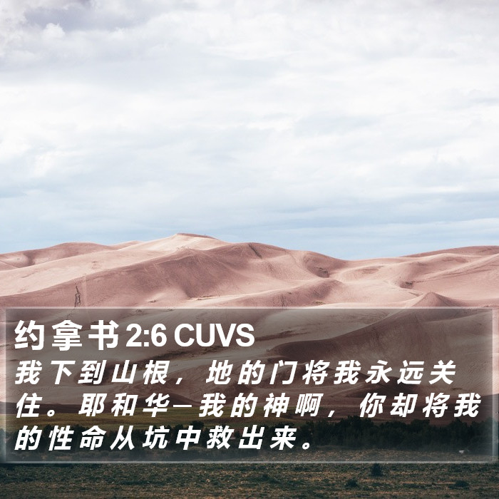 约 拿 书 2:6 CUVS Bible Study