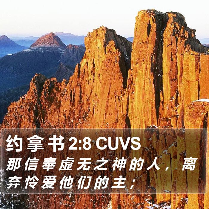 约 拿 书 2:8 CUVS Bible Study