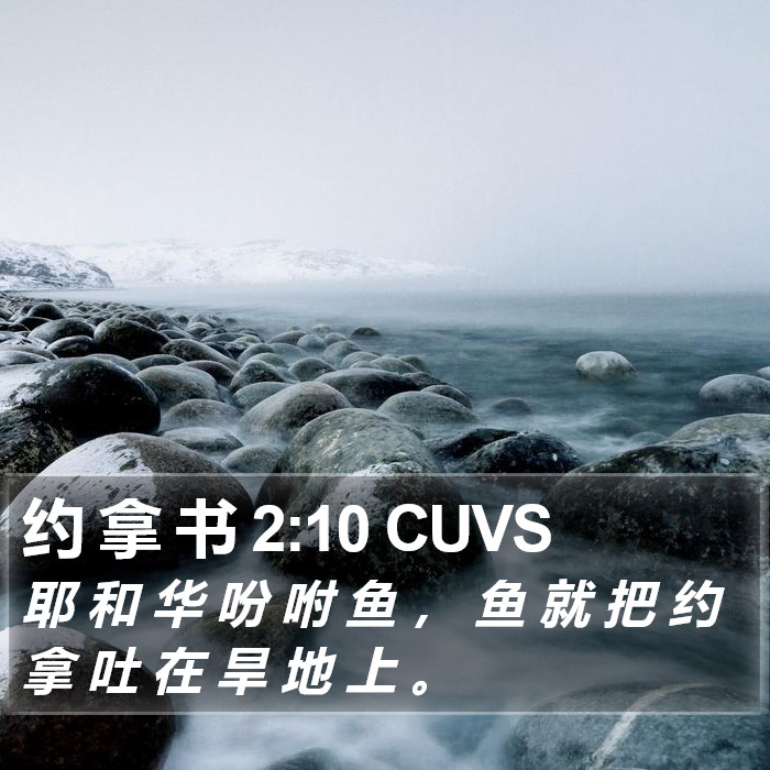 约 拿 书 2:10 CUVS Bible Study