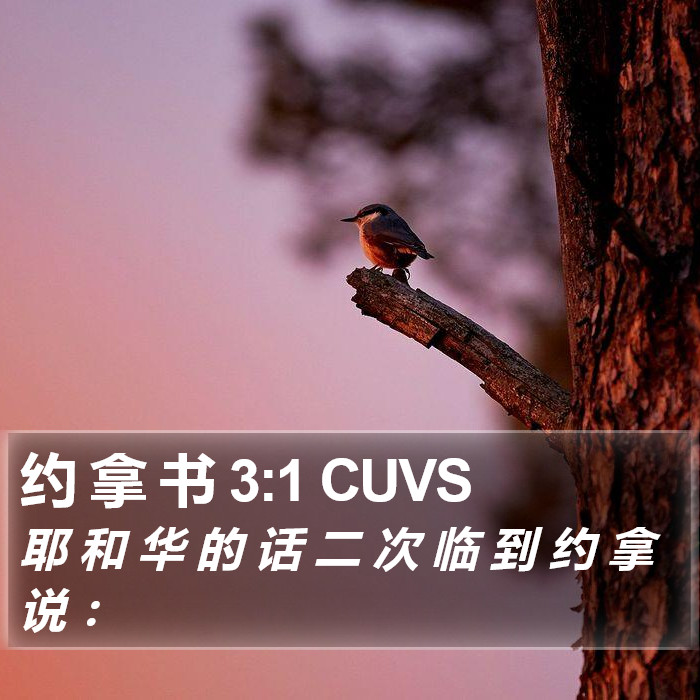 约 拿 书 3:1 CUVS Bible Study