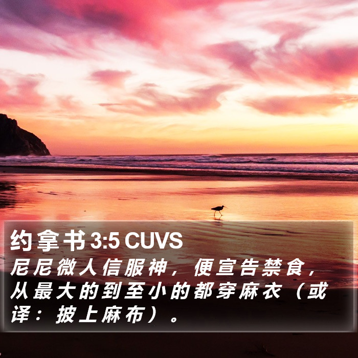 约 拿 书 3:5 CUVS Bible Study