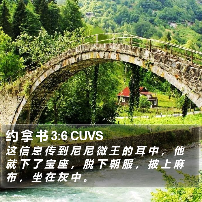 约 拿 书 3:6 CUVS Bible Study