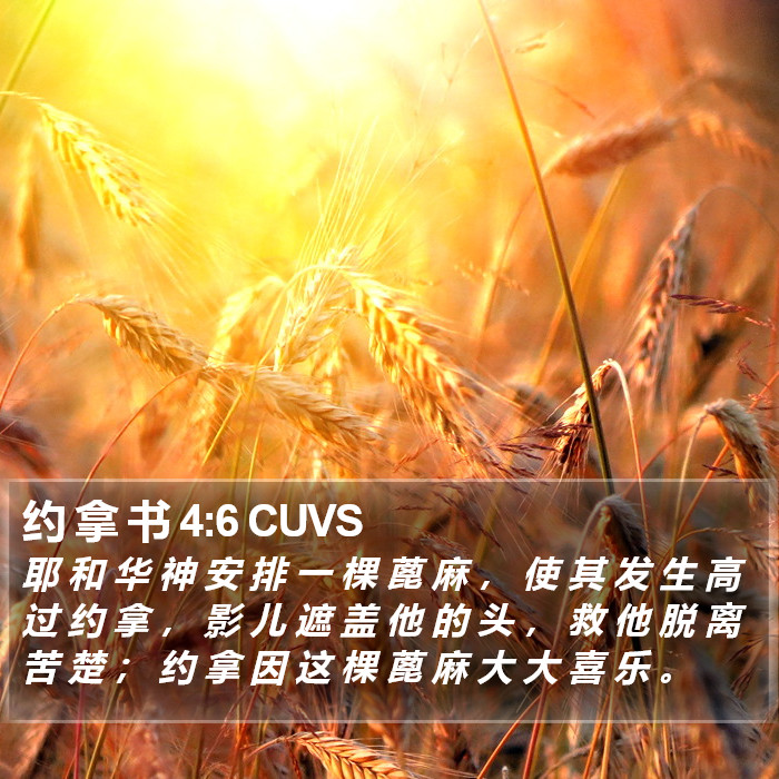 约 拿 书 4:6 CUVS Bible Study