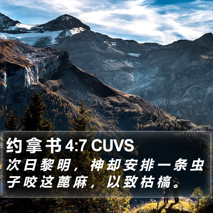 约 拿 书 4:7 CUVS Bible Study