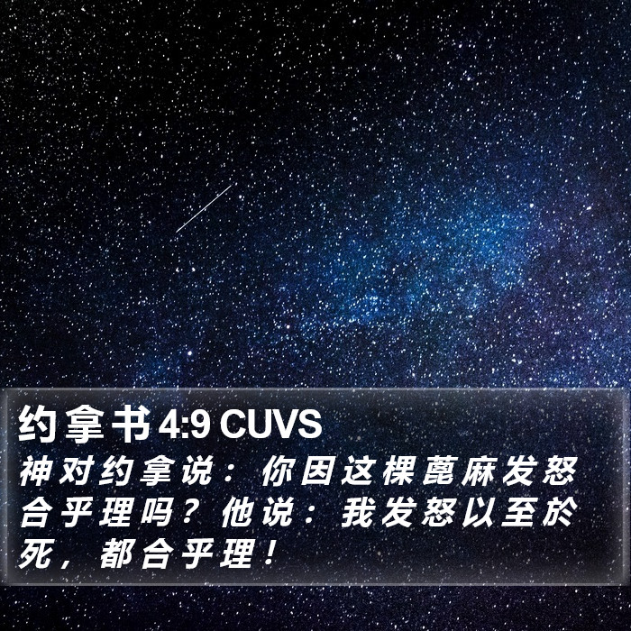 约 拿 书 4:9 CUVS Bible Study