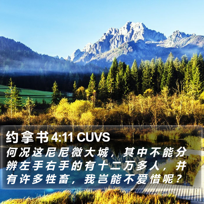 约 拿 书 4:11 CUVS Bible Study