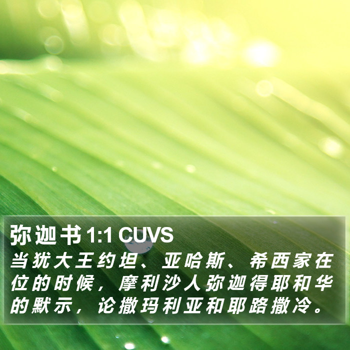 弥 迦 书 1:1 CUVS Bible Study