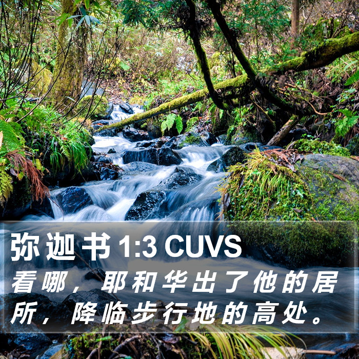 弥 迦 书 1:3 CUVS Bible Study