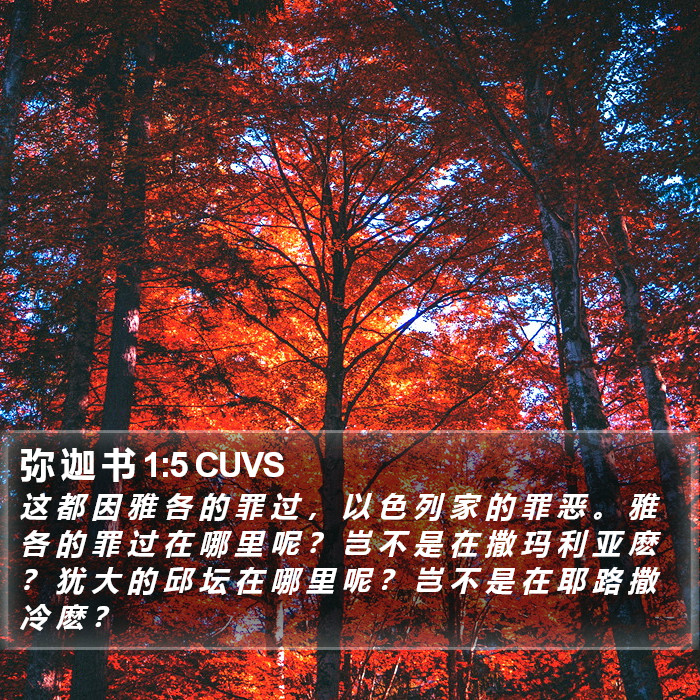 弥 迦 书 1:5 CUVS Bible Study