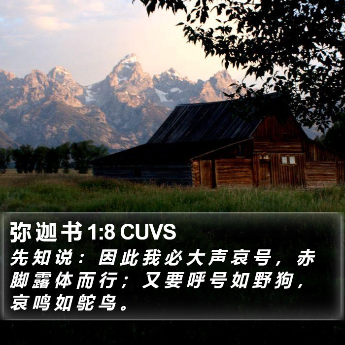 弥 迦 书 1:8 CUVS Bible Study