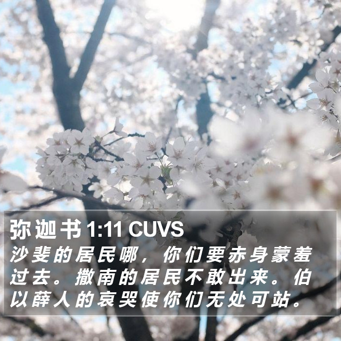 弥 迦 书 1:11 CUVS Bible Study