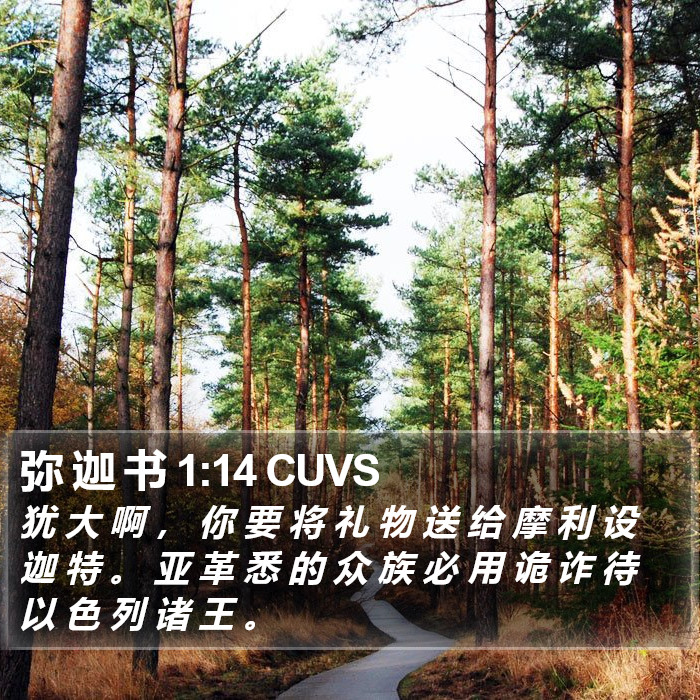 弥 迦 书 1:14 CUVS Bible Study