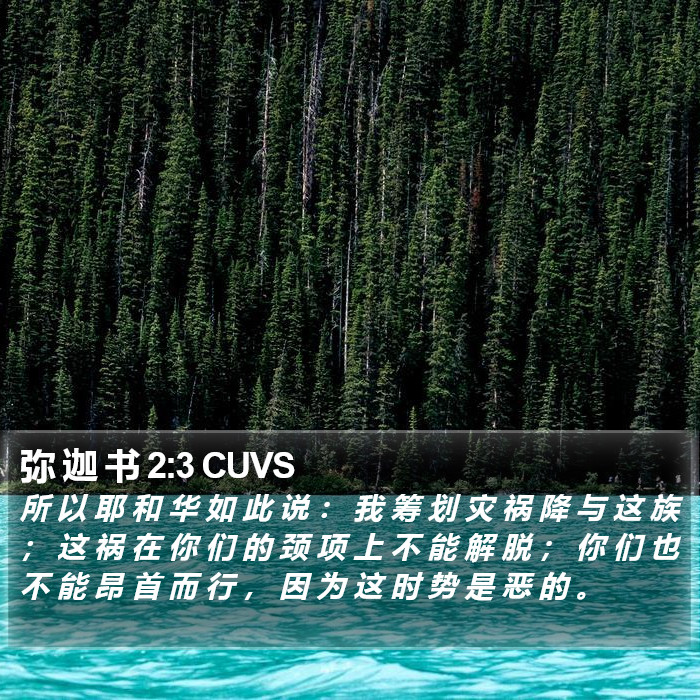 弥 迦 书 2:3 CUVS Bible Study