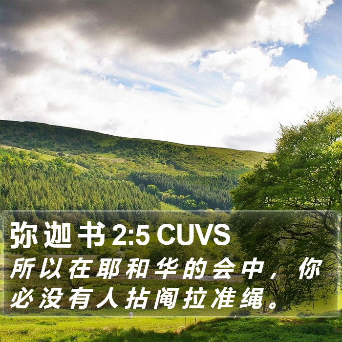 弥 迦 书 2:5 CUVS Bible Study