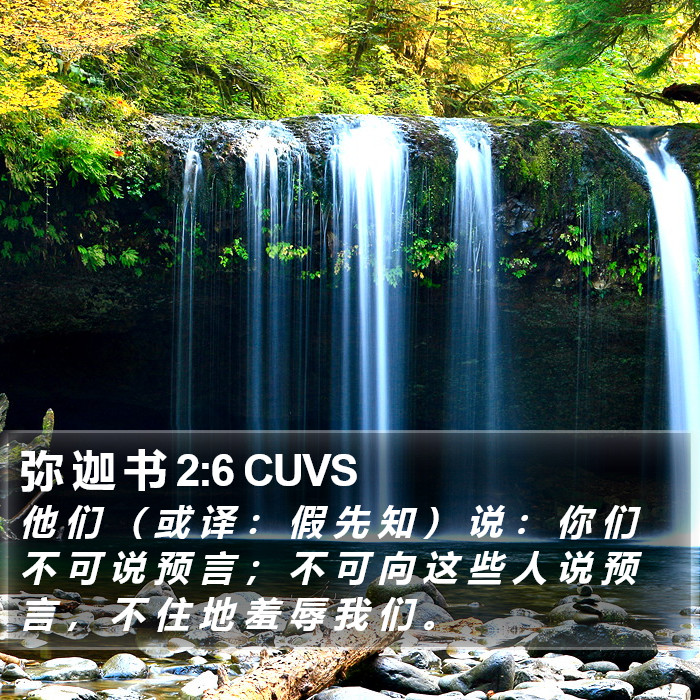 弥 迦 书 2:6 CUVS Bible Study