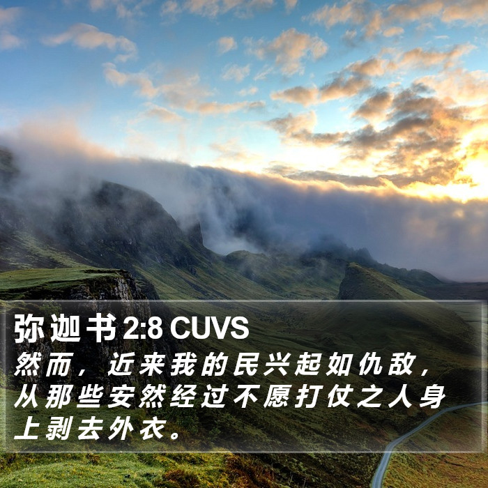 弥 迦 书 2:8 CUVS Bible Study