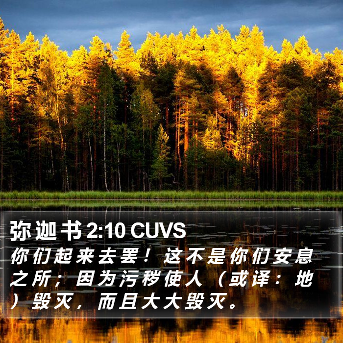 弥 迦 书 2:10 CUVS Bible Study