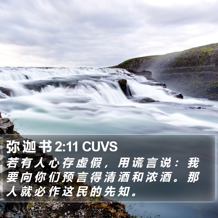 弥 迦 书 2:11 CUVS Bible Study