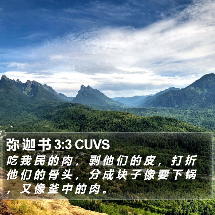 弥 迦 书 3:3 CUVS Bible Study