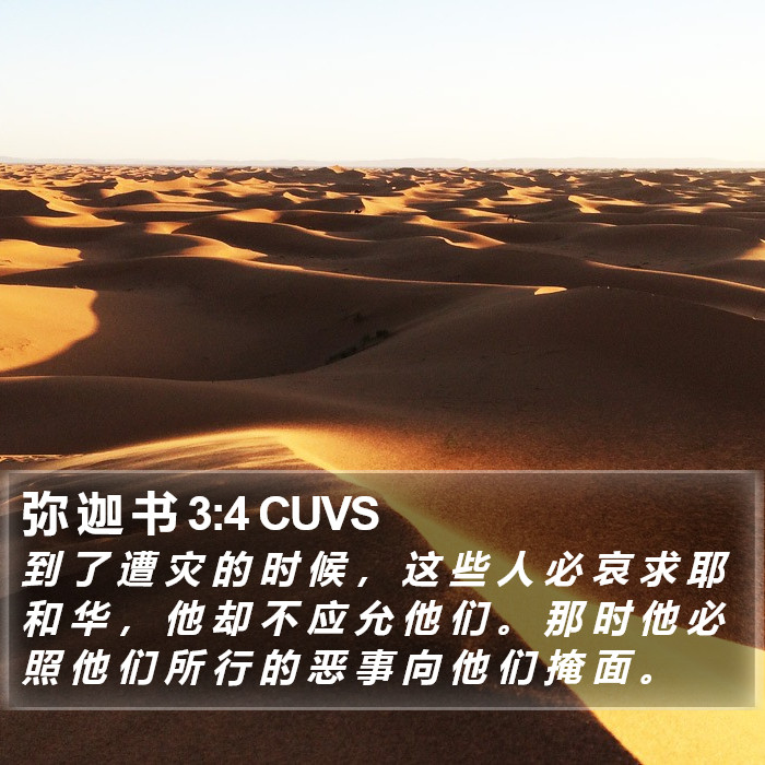 弥 迦 书 3:4 CUVS Bible Study