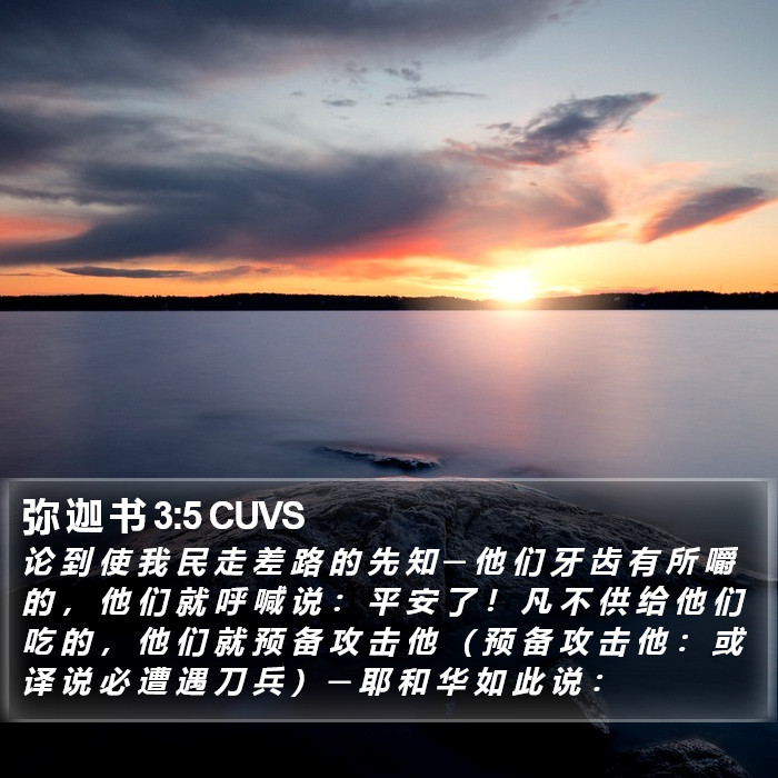 弥 迦 书 3:5 CUVS Bible Study