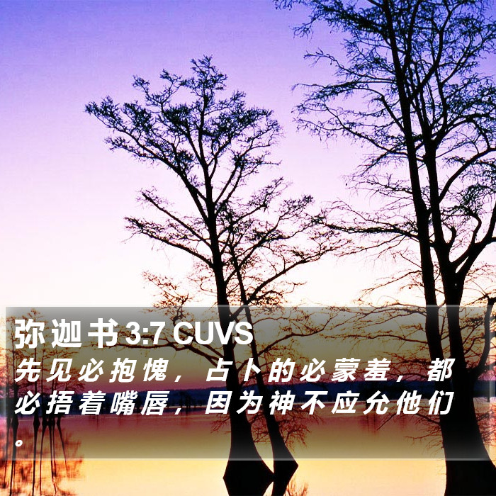 弥 迦 书 3:7 CUVS Bible Study