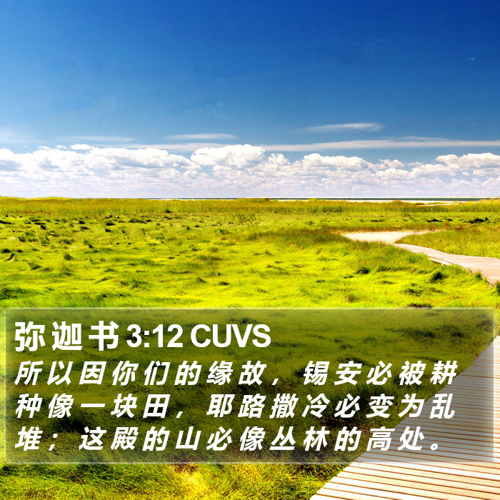 弥 迦 书 3:12 CUVS Bible Study